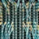 A Detailed Comparison of Enterprise Networking Solutions: MPLS,
                VPN, SD-WAN