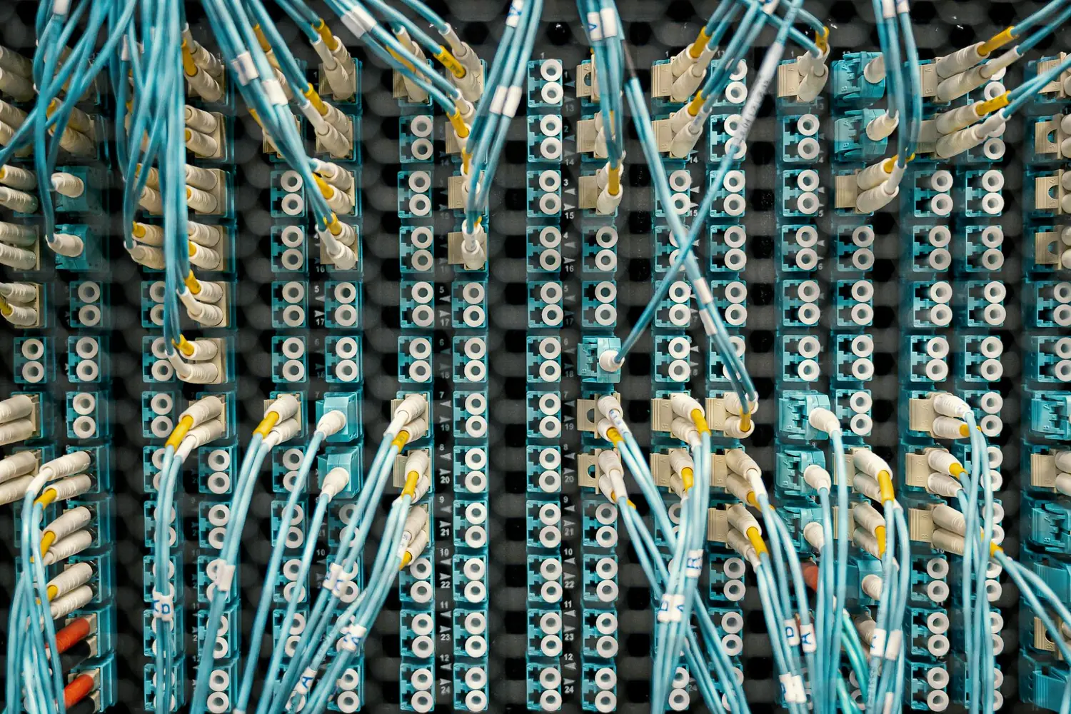 A network patch panel with dense bundles of blue and yellow cables running to switch ports