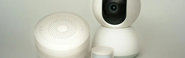 Evaluating the Security Risks of Smart Devices in Everyday Use