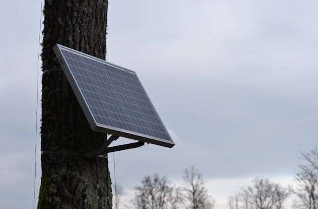 How Solar Gadgets Are Reducing Energy Costs in Urban Areas